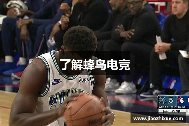 了解蜂鸟电竞